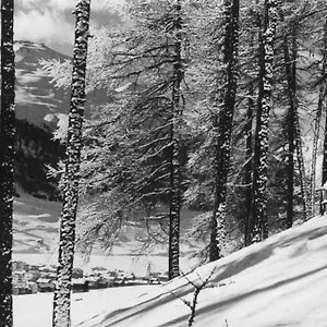 Отель Hotel Livigno